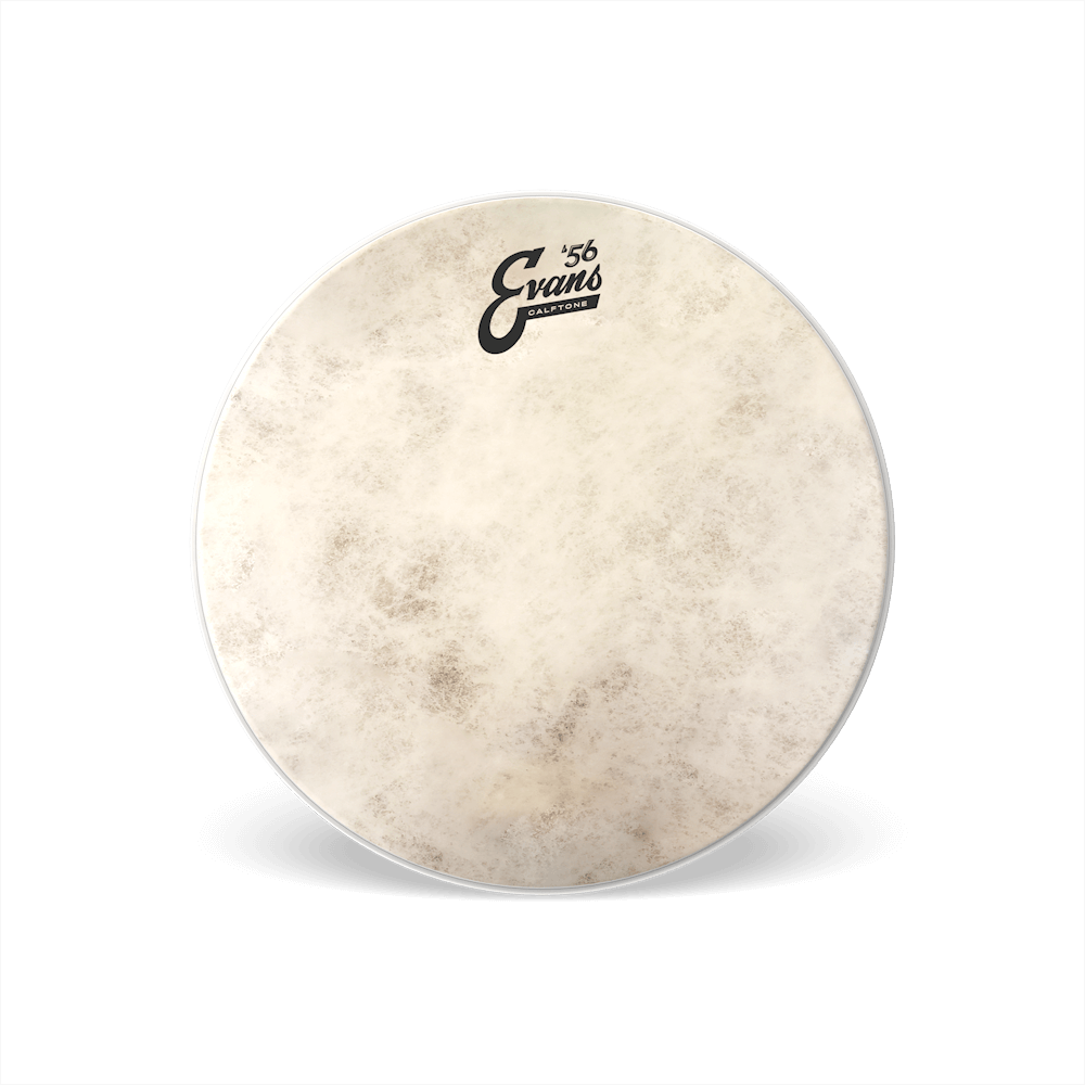 Evans 12" Calftone Drumhead